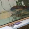 foire-haricots 2011-09-17et18
